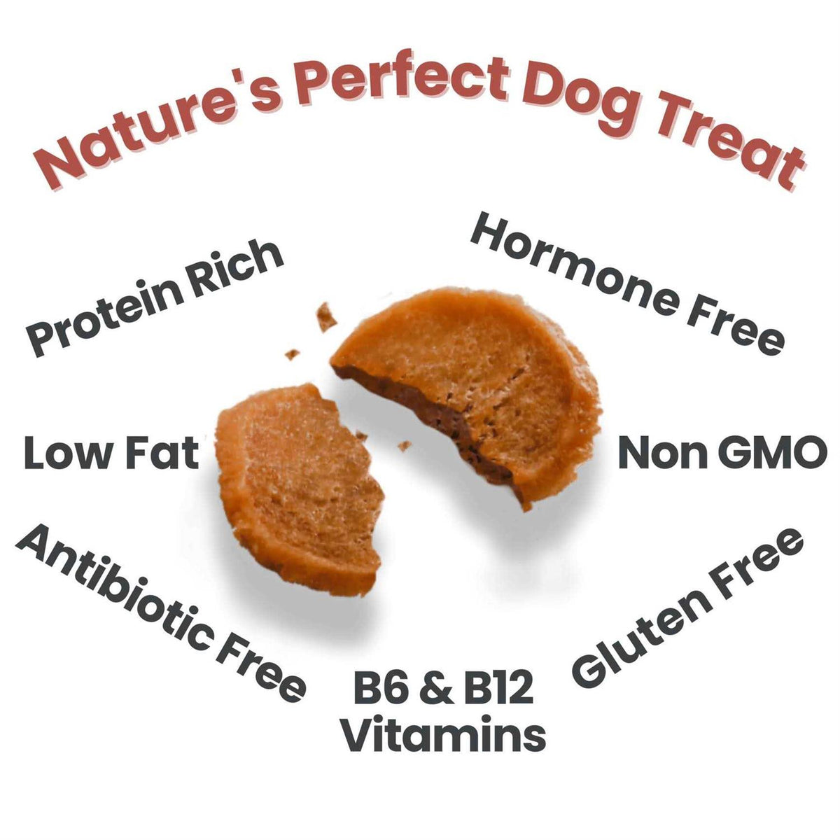 Turkey Chips Dog Treats M507671