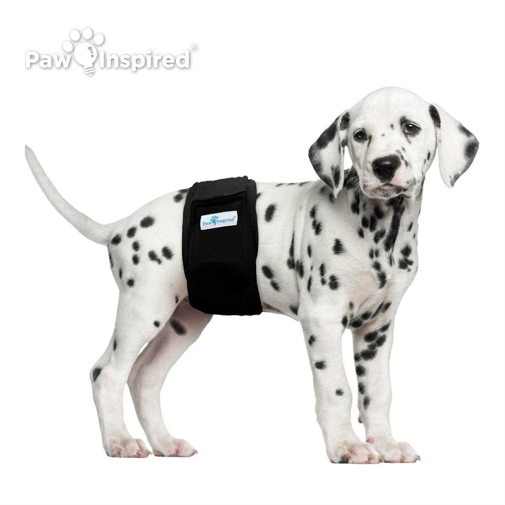 Washable Dog Belly Band F80631