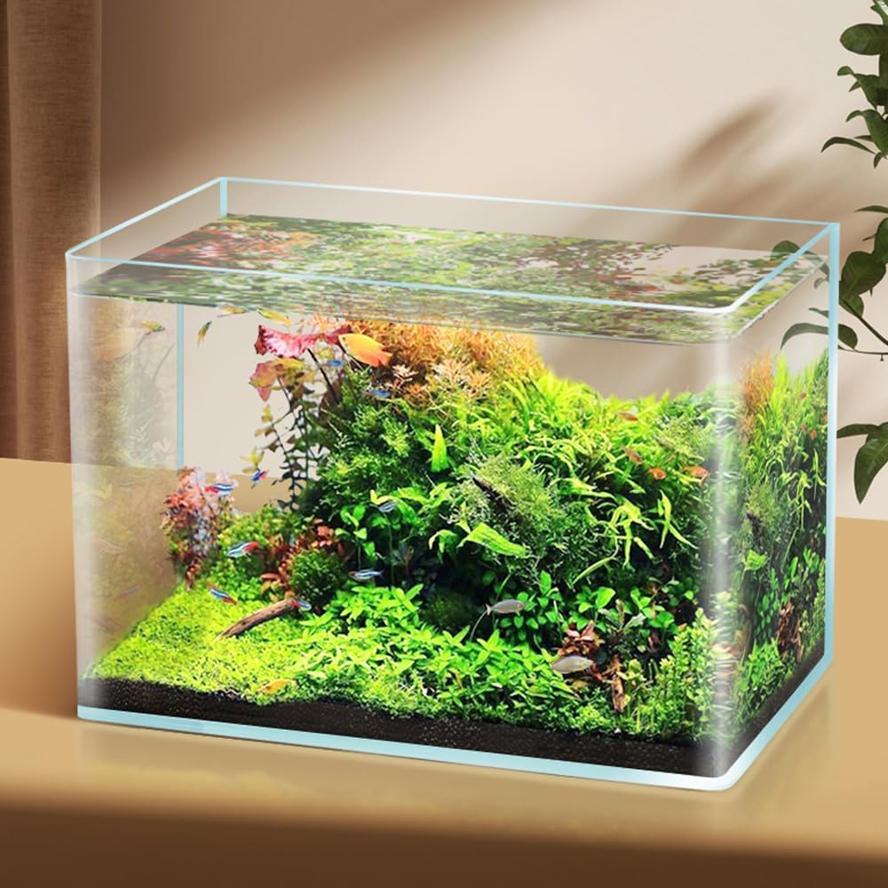 2 Pack Rimless Small Fish Tank Q2831
