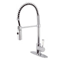 Polished Chrome Pull-Down Sprayer Kitchen Faucet J9502