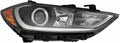 Headlight Assembly Passenger Side Halogen with Daytime Running Light E213473