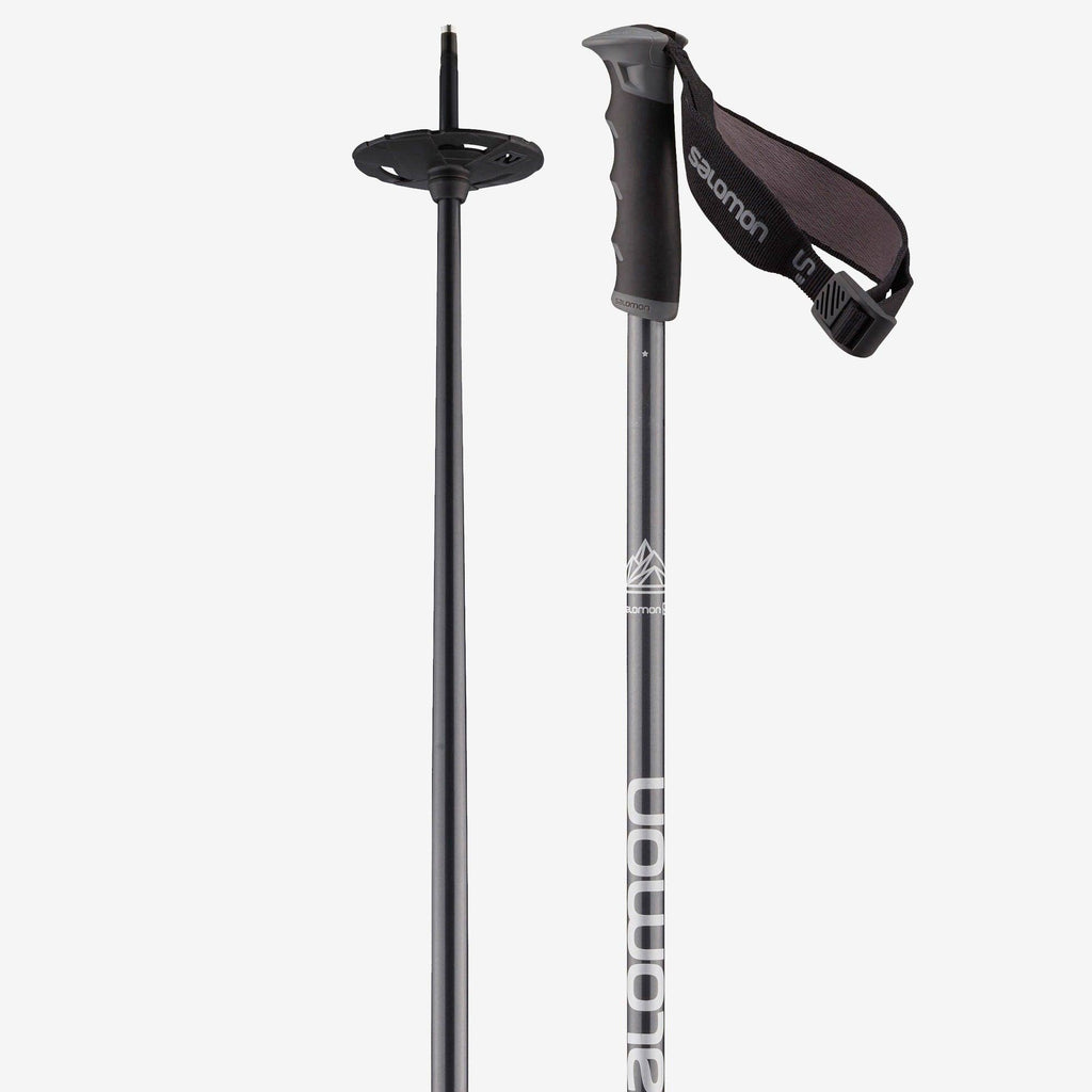Ski Poles B7146