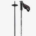 Ski Poles B7146
