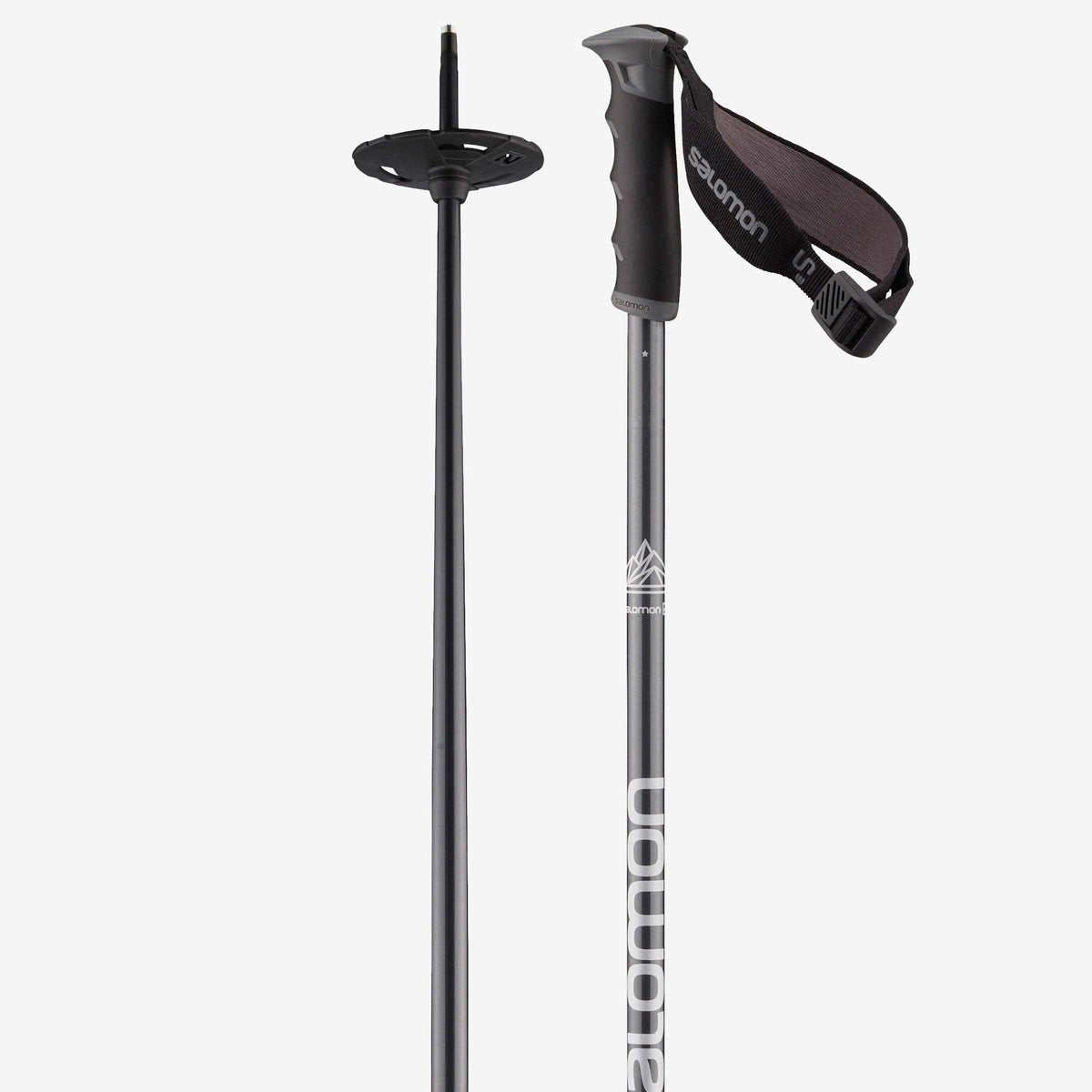 Ski Poles B7146