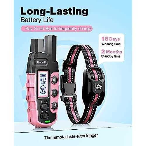 Rechargeable Dog Training Collar with Remote O244506