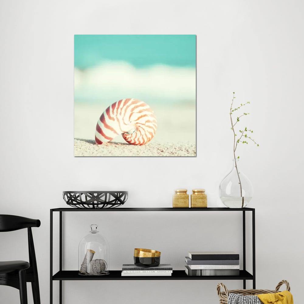 Canvas Art Picture - Nautilus Z663893
