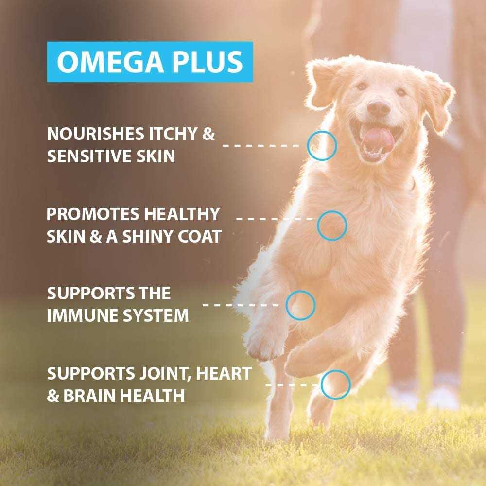 Fish Oil Supplement for Dogs P222
