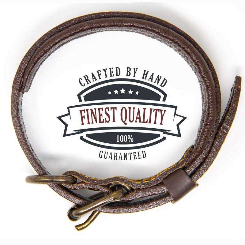 Padded Full Grain Leather Dog Collar X623918