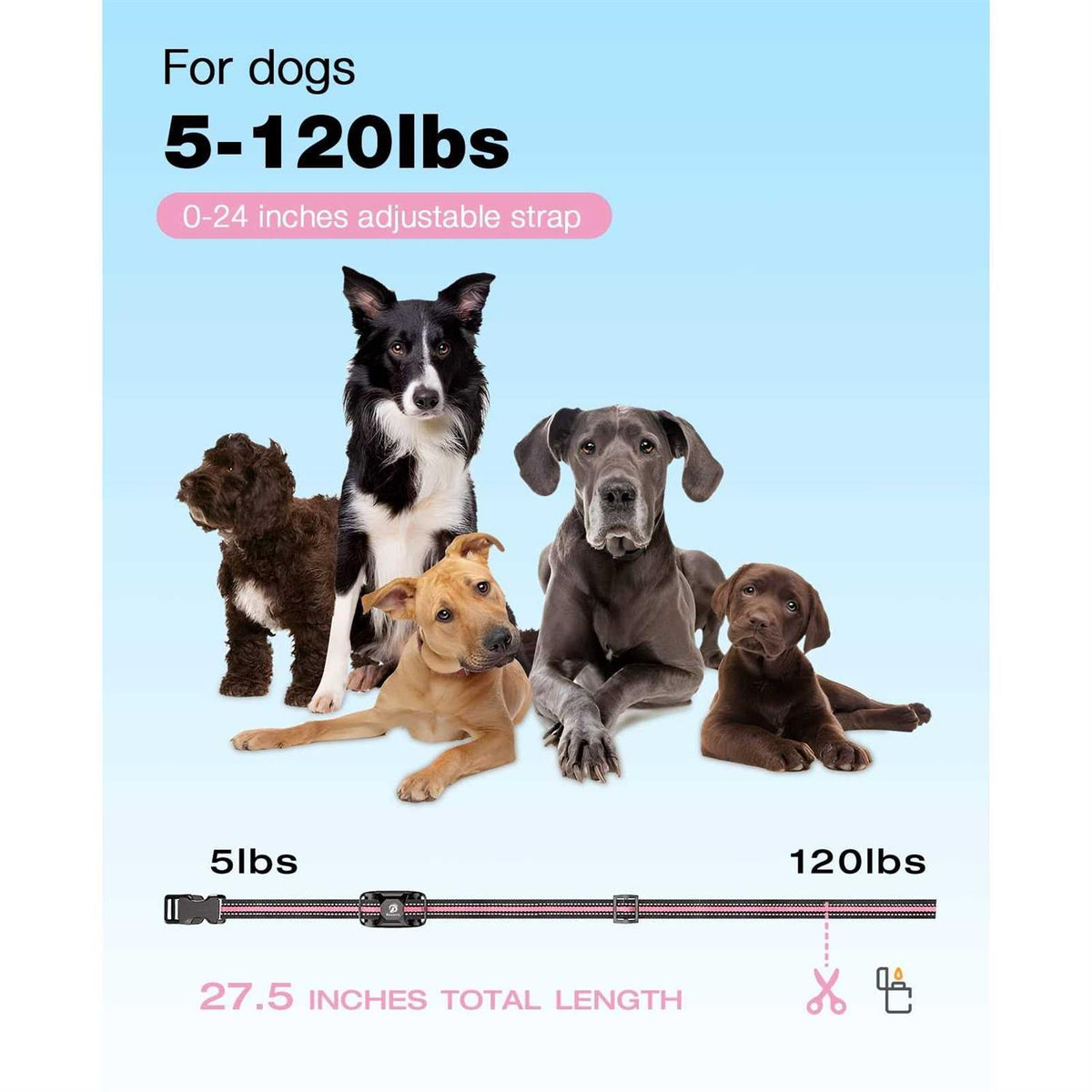 Rechargeable Dog Training Collar with Remote O244506