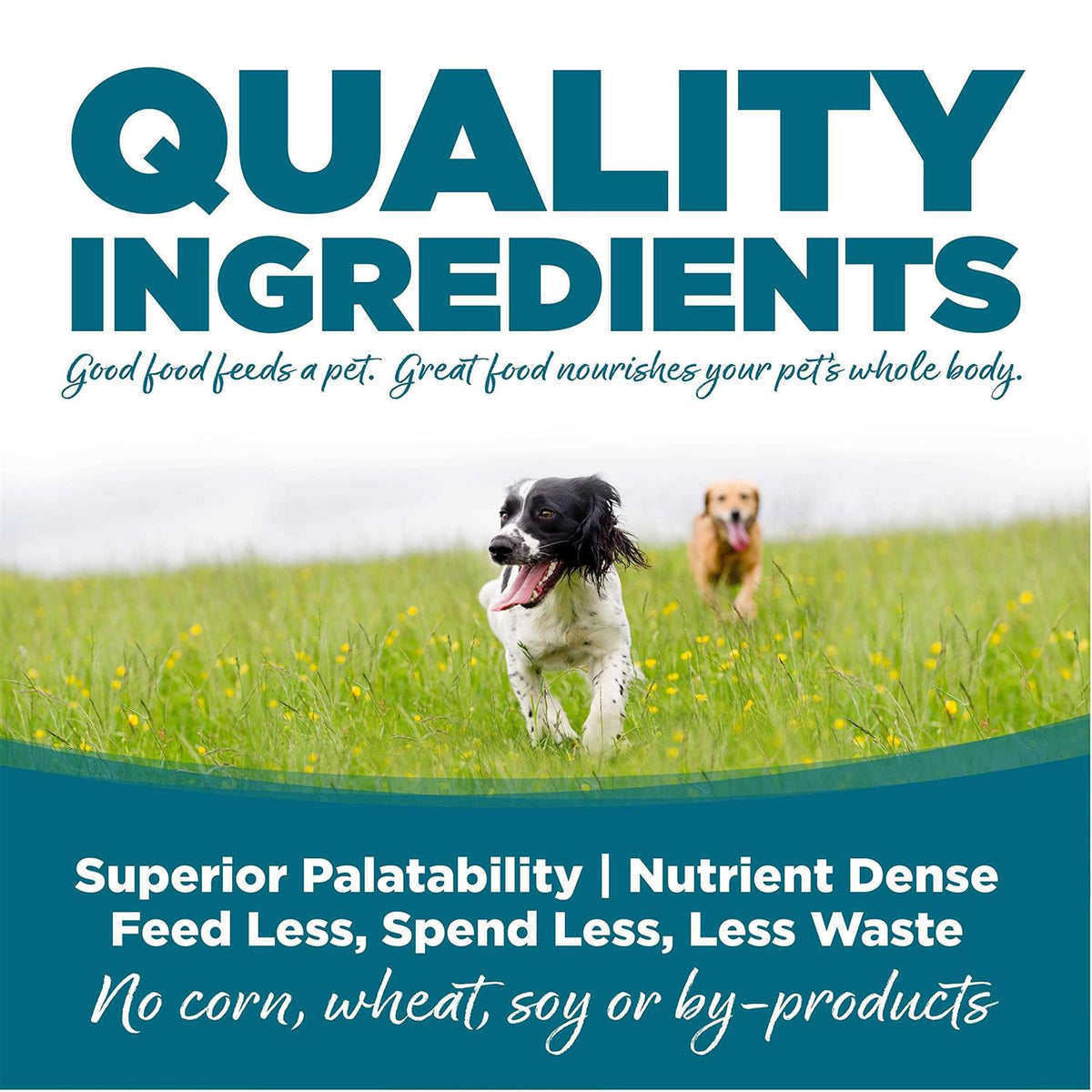 Chicken Rice Dry Dog Food B6545