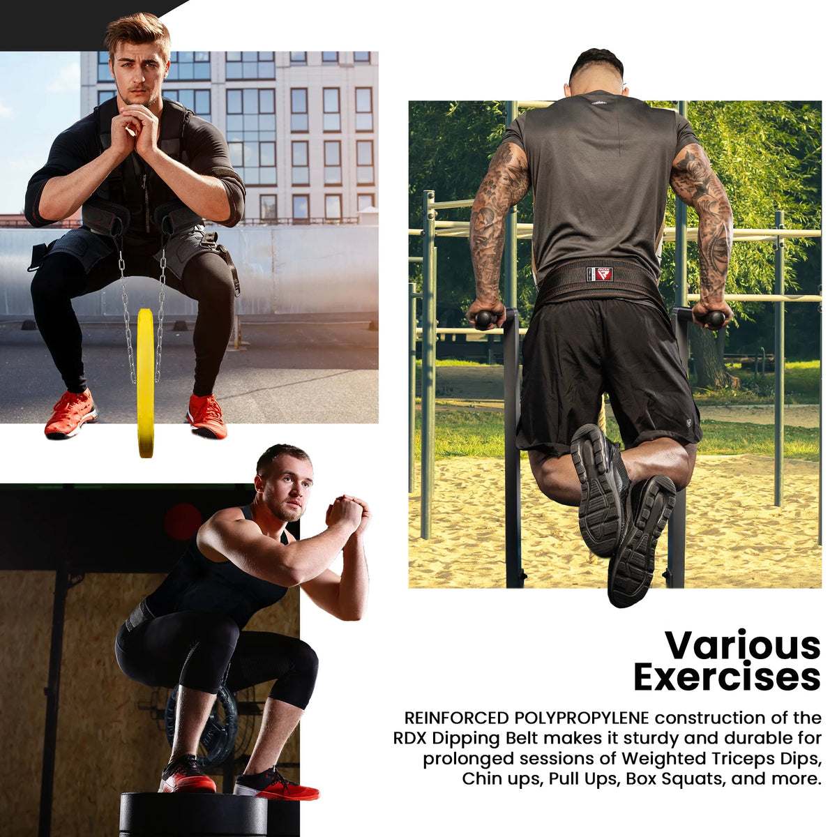 Dipping Belt with Adjustable Steel Chain V975