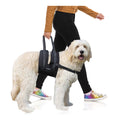 Veterinarian Approved Dog Sling Assist with Chest Strap N361263