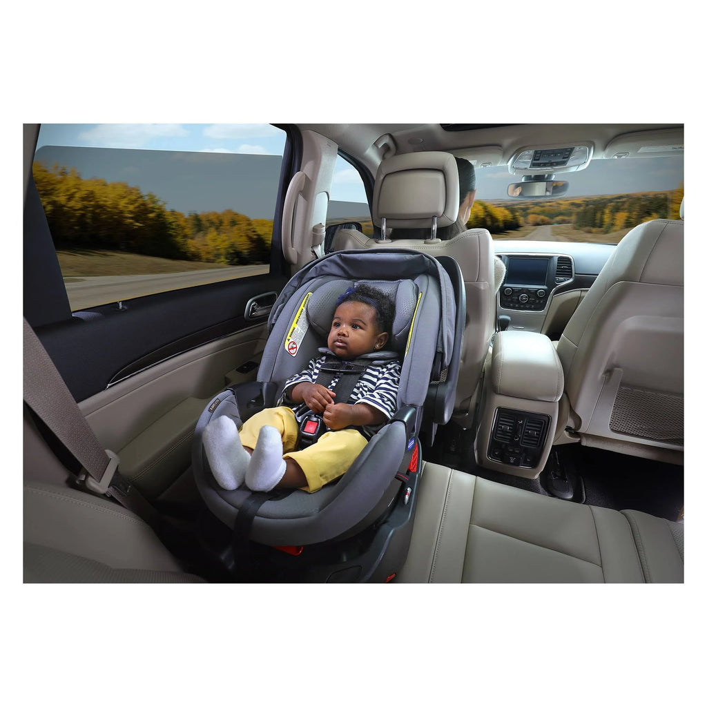 Gris Infant Car Seat P73274