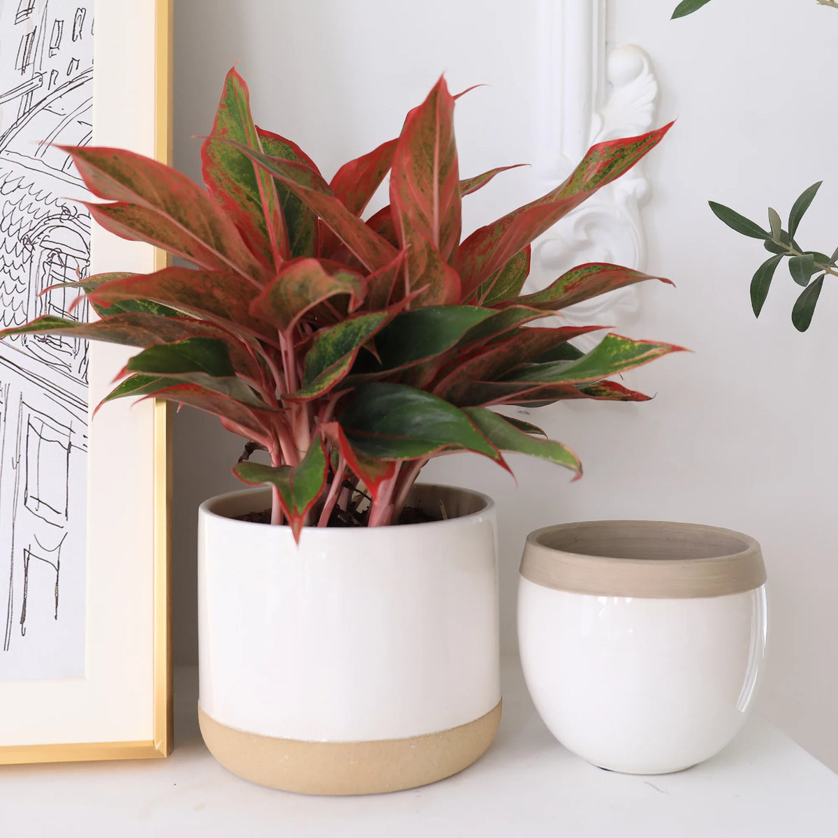 White Ceramic Flower Plant Pots C716132