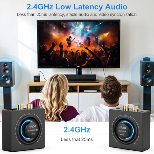2.4GHz Wireless Audio Transmitter and Receiver R81997