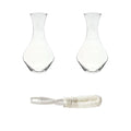 Cabernet Wine Decanter Set of 2 & Stemware Washing Brush I314