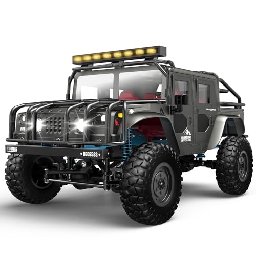 1/16 Scale 4WD RC Truck O926972