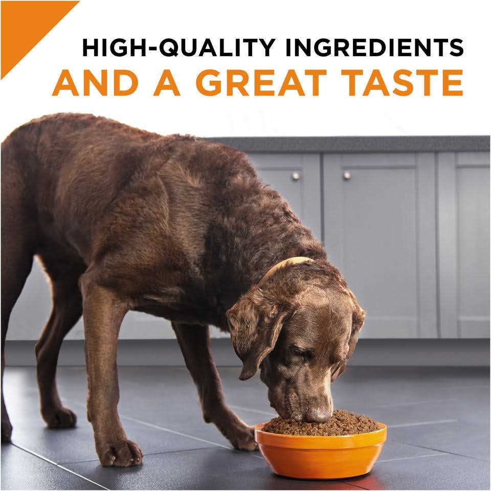 Beef & Rice Wet Dog Food Z437616