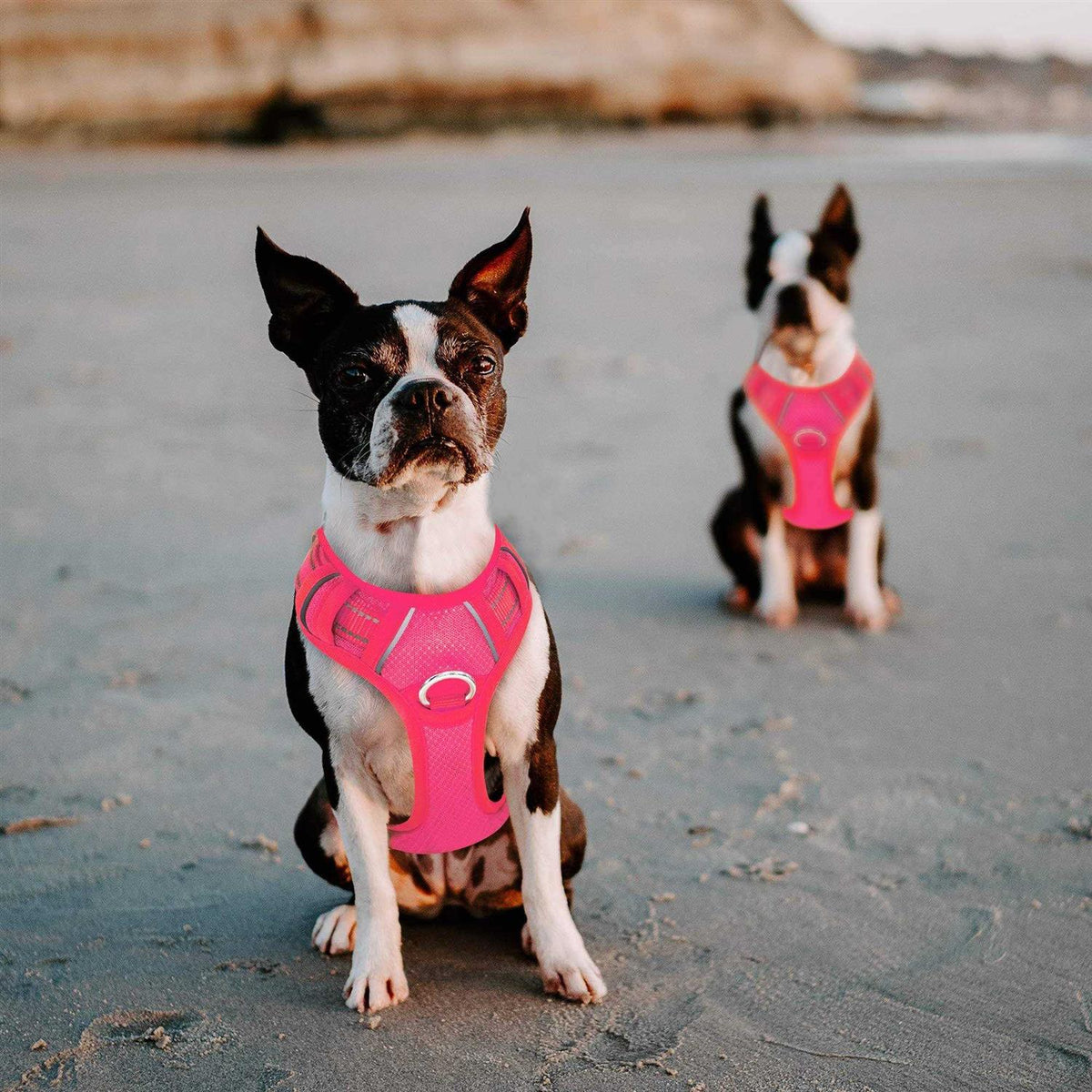 No Pull Reflective Dog Harness with Easy Control Handle I611