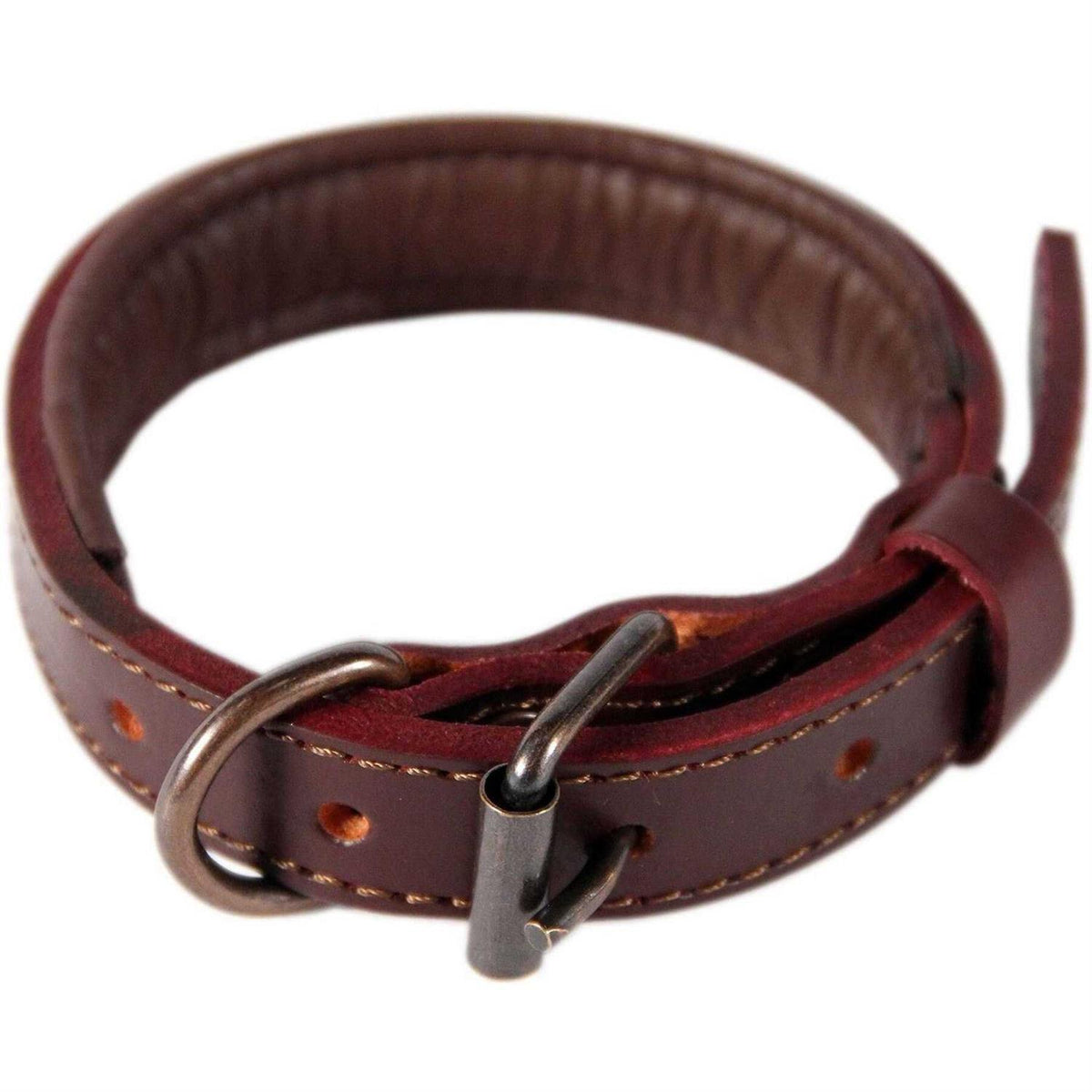 Padded Full Grain Leather Dog Collar X623918