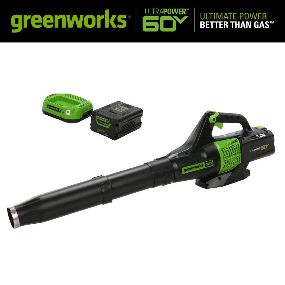 60-Volt Cordless Handheld Leaf Blower with 2.0 Ah Battery and Charger W893992