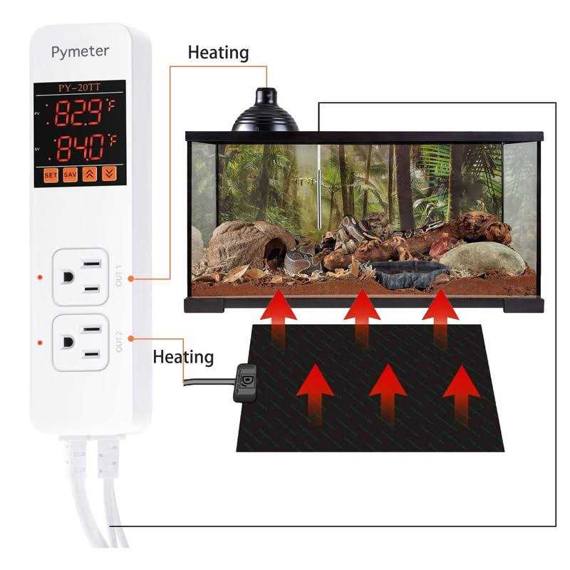 Digital Temperature Controller Dual Probe Thermostat Outlet Y200