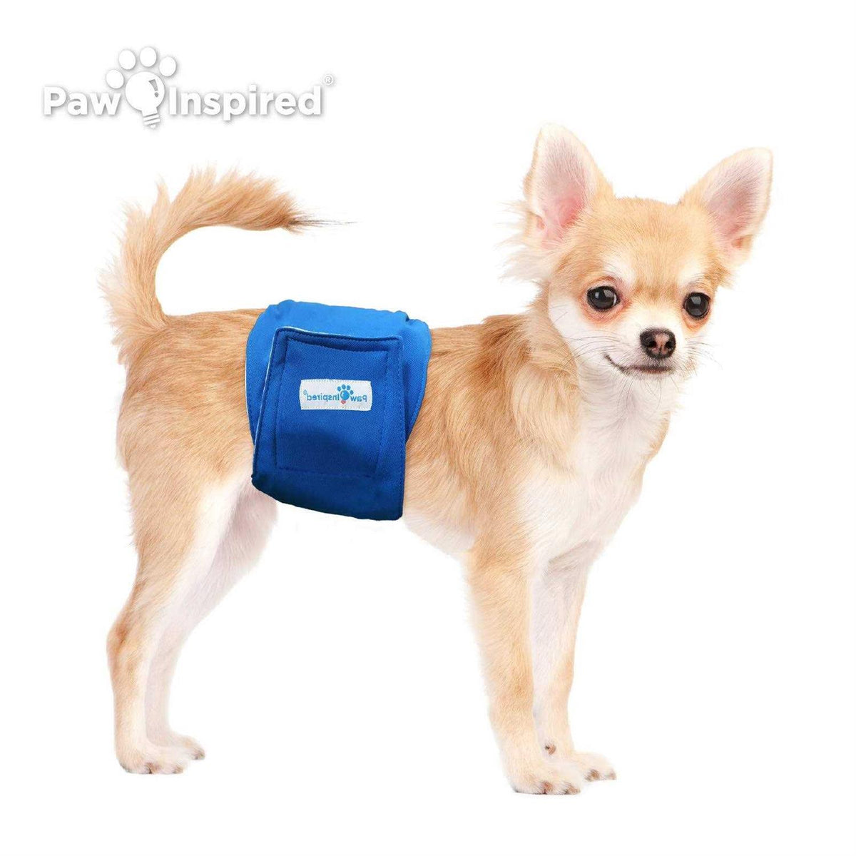 Washable Dog Belly Band F80631