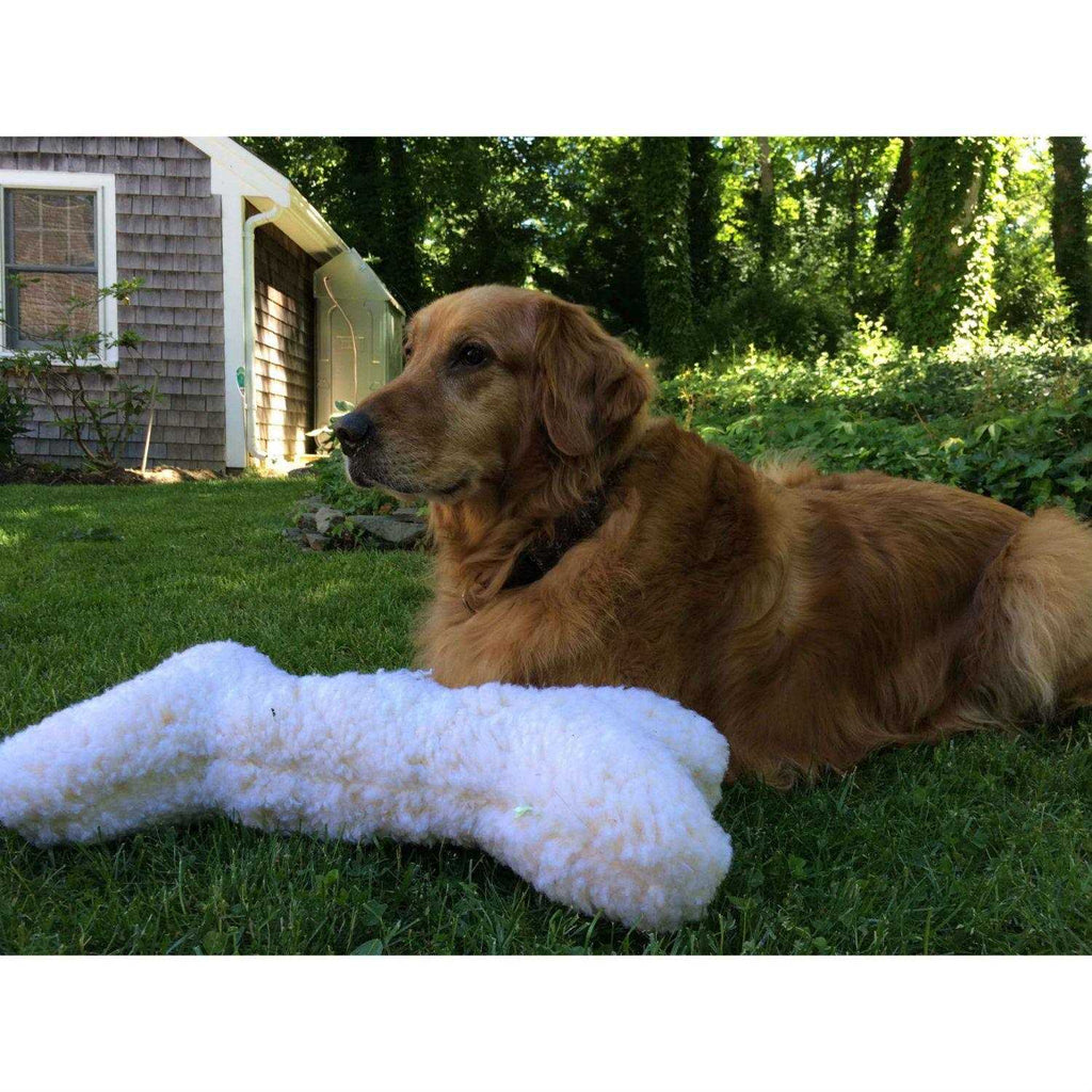 Dog Toy W12156