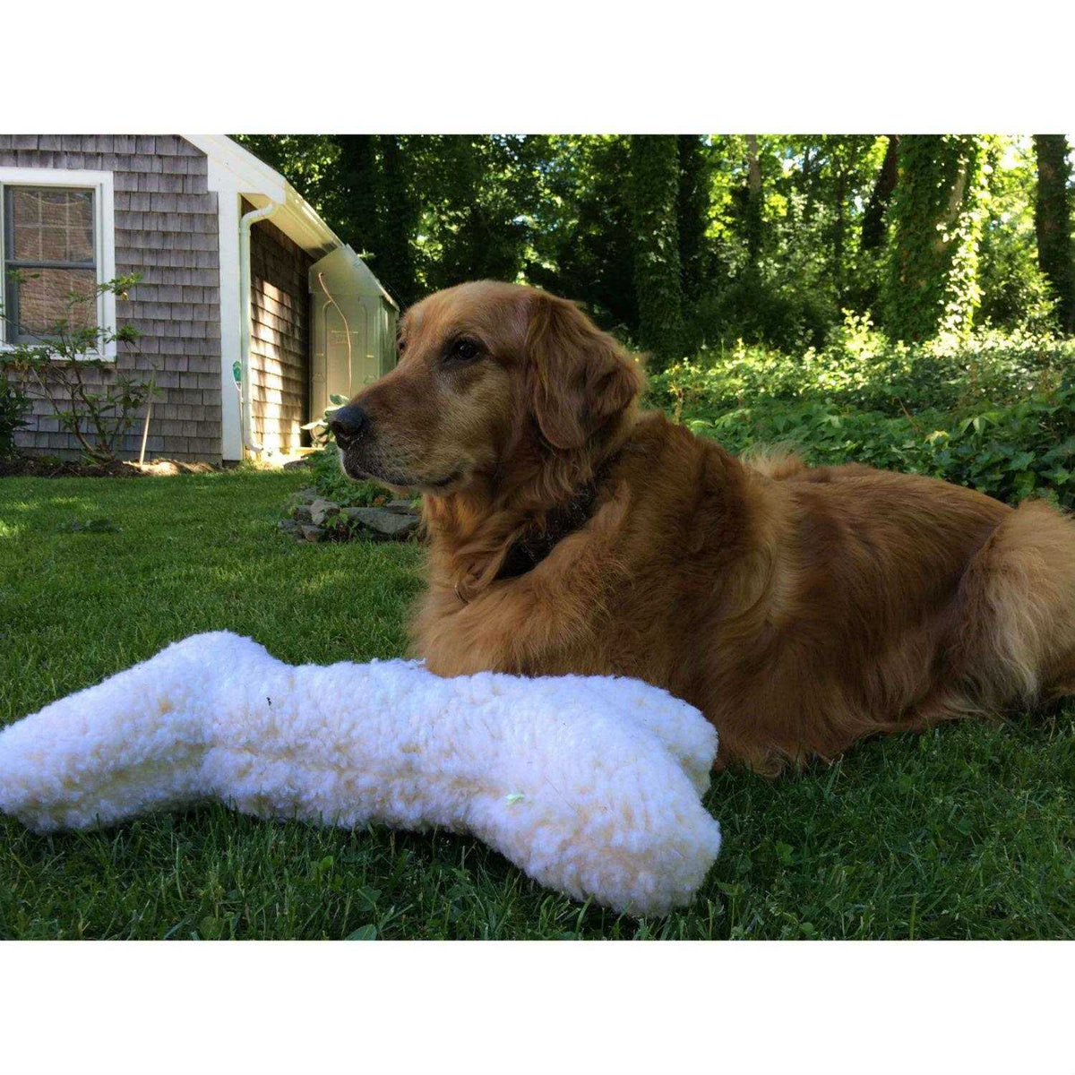 Dog Toy W12156