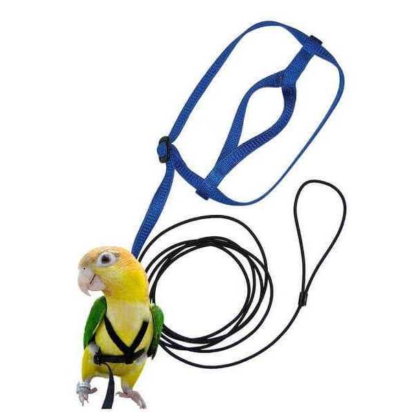 Bird Harness and Leash W615730
