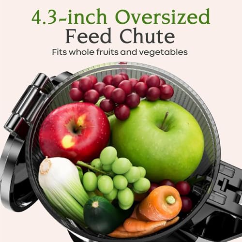 Cold Press Juicer, 200W Masticating Juicer with 2 Auger, Tritan Materials P6405