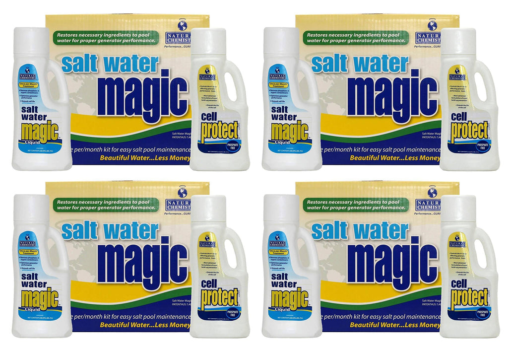 Spa Swimming Pool Salt Water Chemical Kit C405