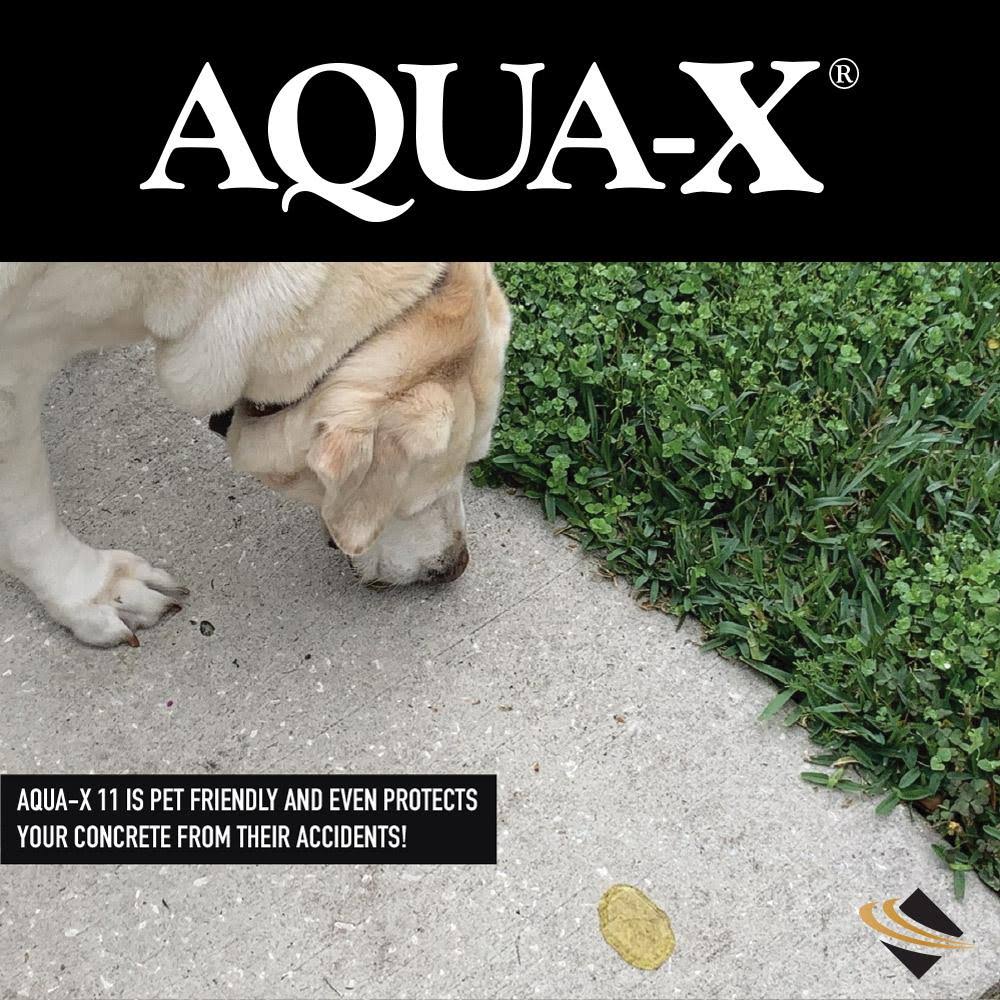 Clear Penetrating Concrete Sealer 5 Gallon Q13544