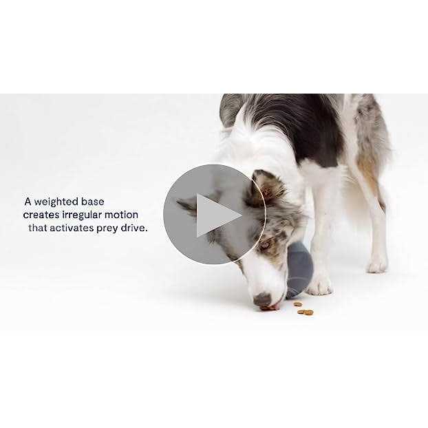 Dog Toy O635