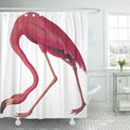 Pink Flamingo Birds America Shower Curtain 60x72 inch R243797