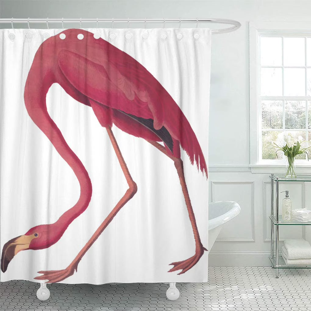 Pink Flamingo Birds America Shower Curtain 60x72 inch R243797