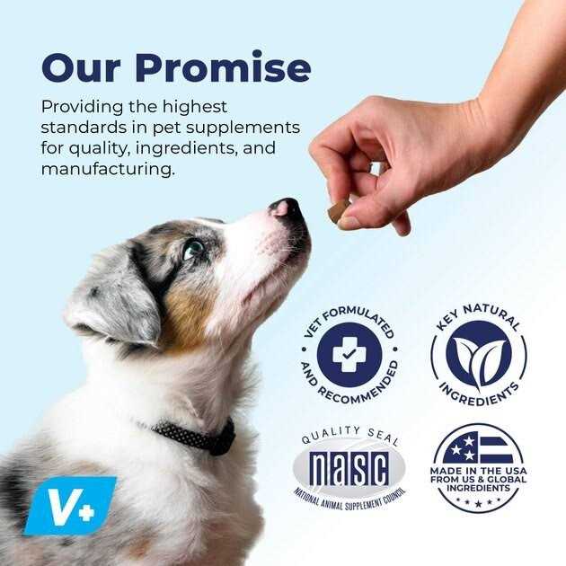 Vet Strength Chew L631