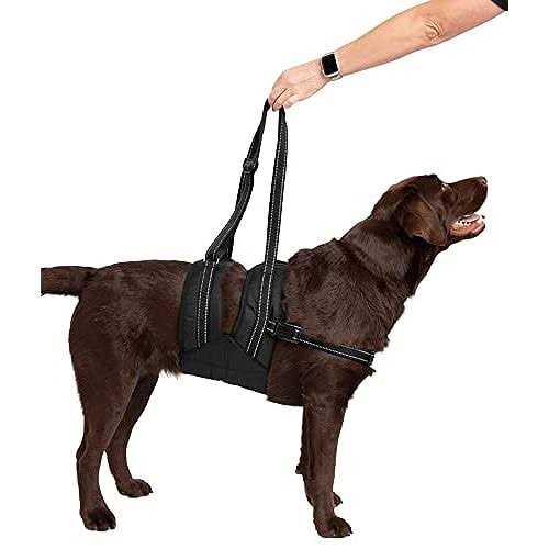 Veterinarian Approved Dog Sling Assist with Chest Strap N361263