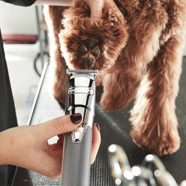 Metal Pet Trimmer T6081