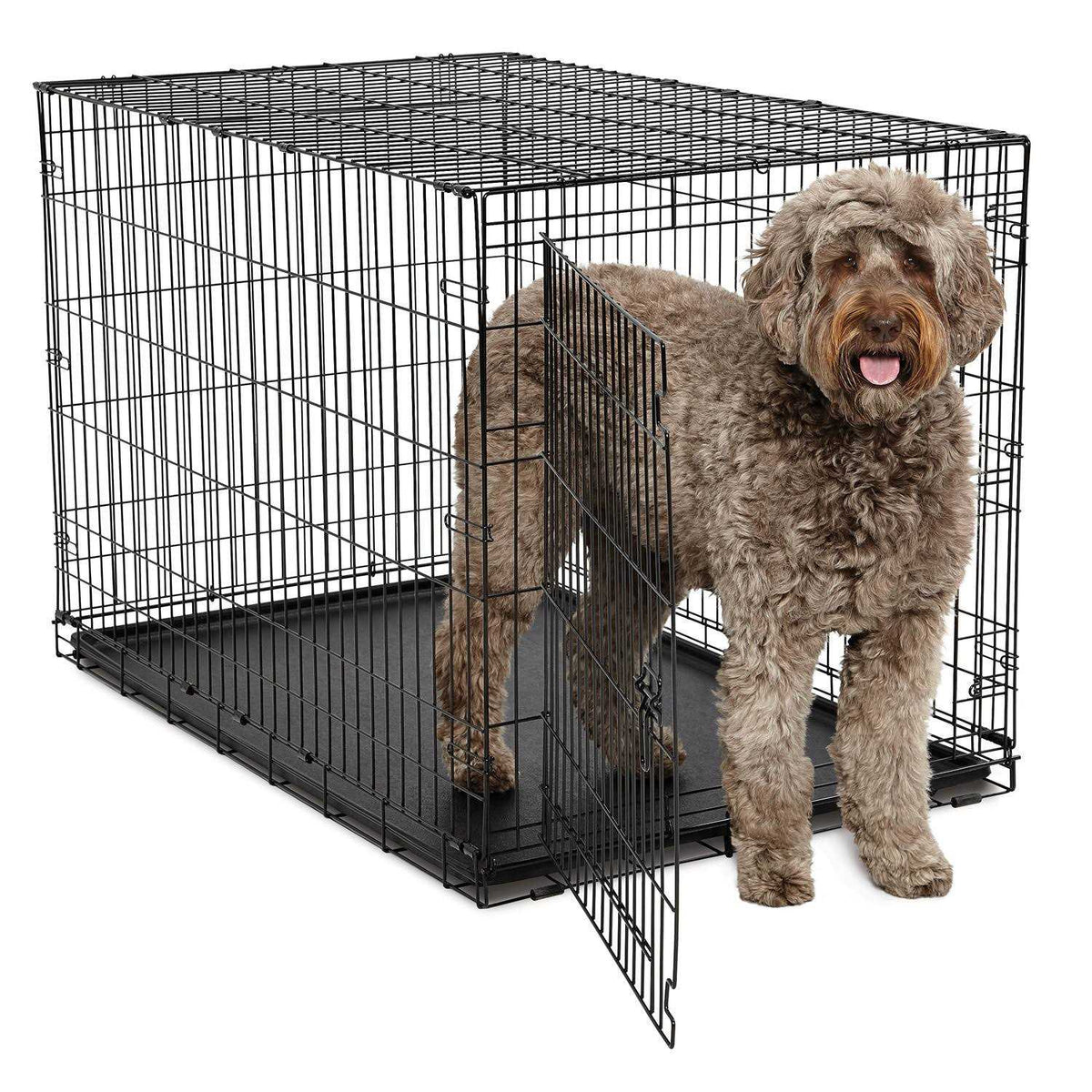Single-Door Dog Crate C3593
