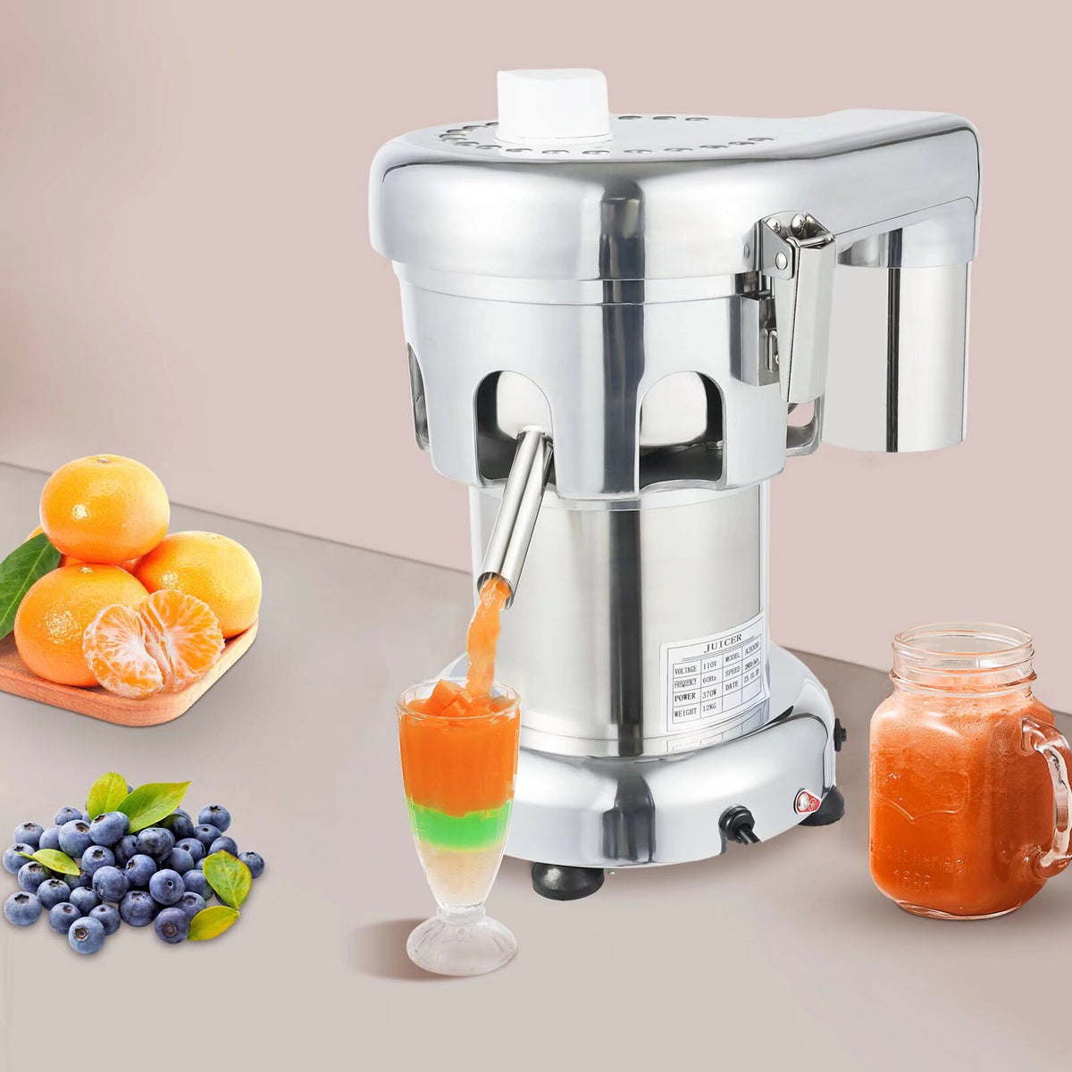 Electric Juice Extractor Machine 110V R53762