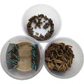 Small Roach Hornworm & Superworm Live Feeder Combo Reptile Food C5103
