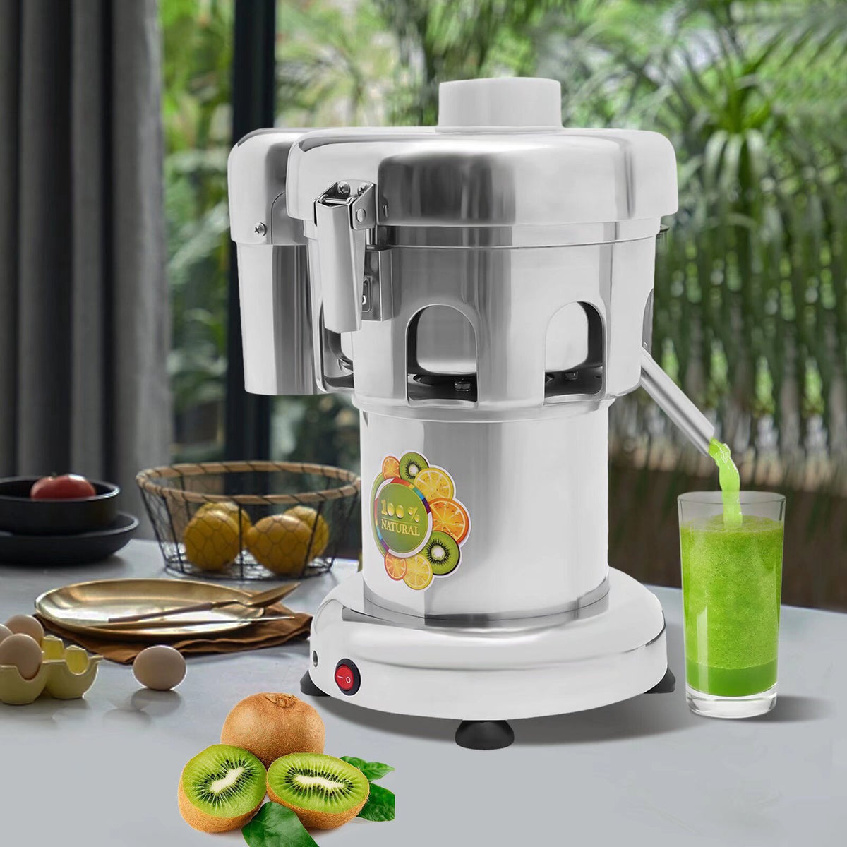 Electric Juice Extractor Machine 110V R53762