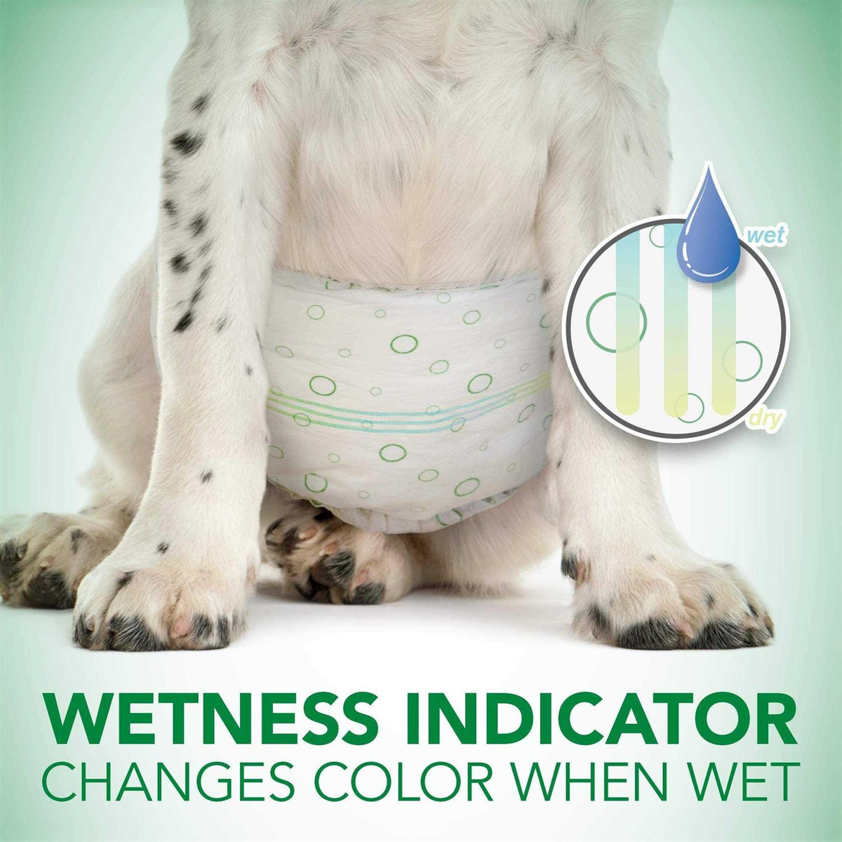 Disposable Male Dog Wraps X17483