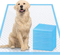 XL 28x34 Disposable Polymer Pet Training Pee Pads Pack of 2 B717