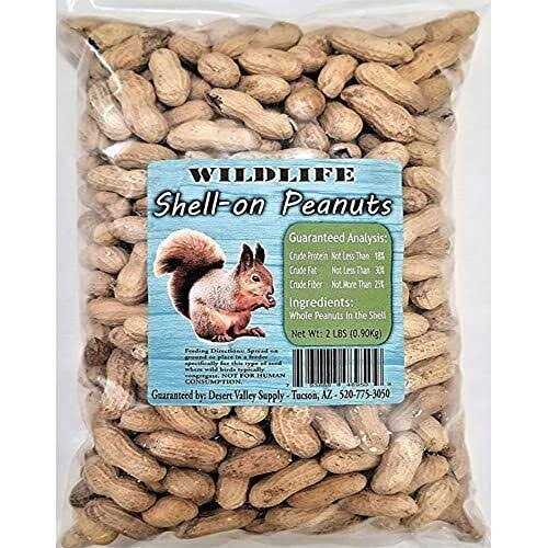 Peanuts in Shell O69775