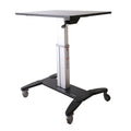 Mobile Sit Stand Workstation Y6595