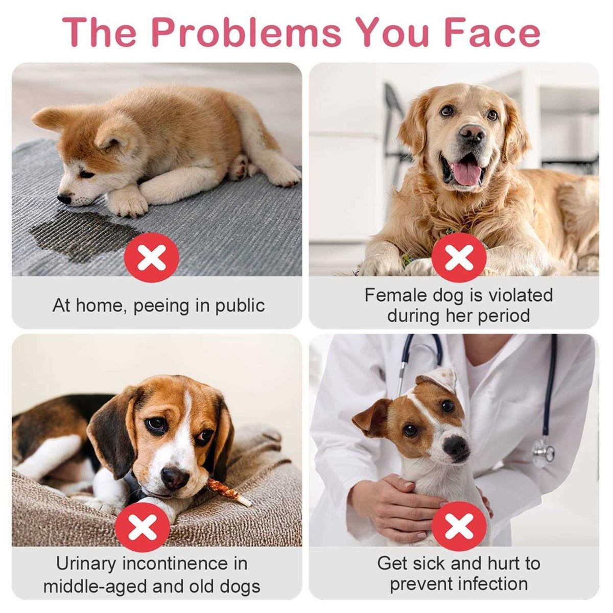 Disposable Female Dog Diapers with Adjustable Elastic Waistline R301