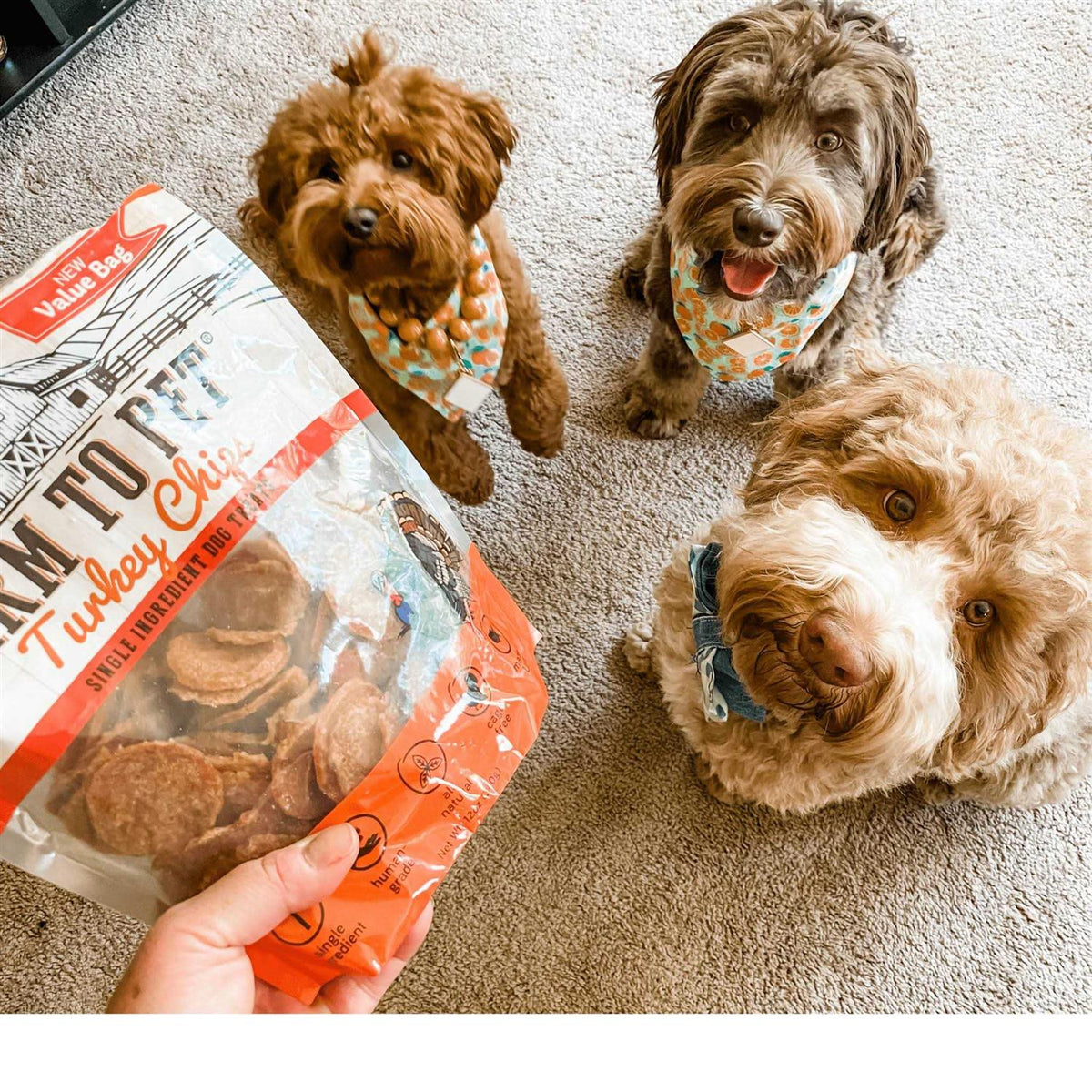 Turkey Chips Dog Treats M507671