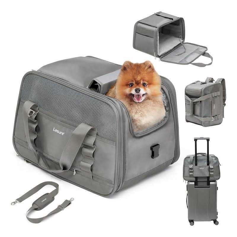2-in-1 Double Pet Carrier Backpack H2602
